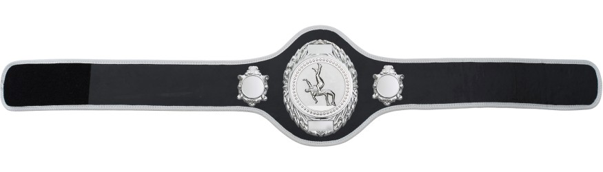WRESTLING BELT-PRO286/S/WRESTS-10+ COLOURS